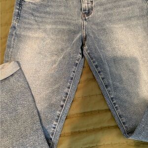 Jag Jeans Blue and Tan Denim